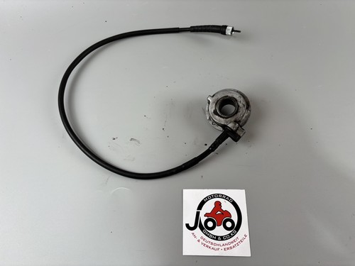 Triumph daytona 955 595 - daytona, t